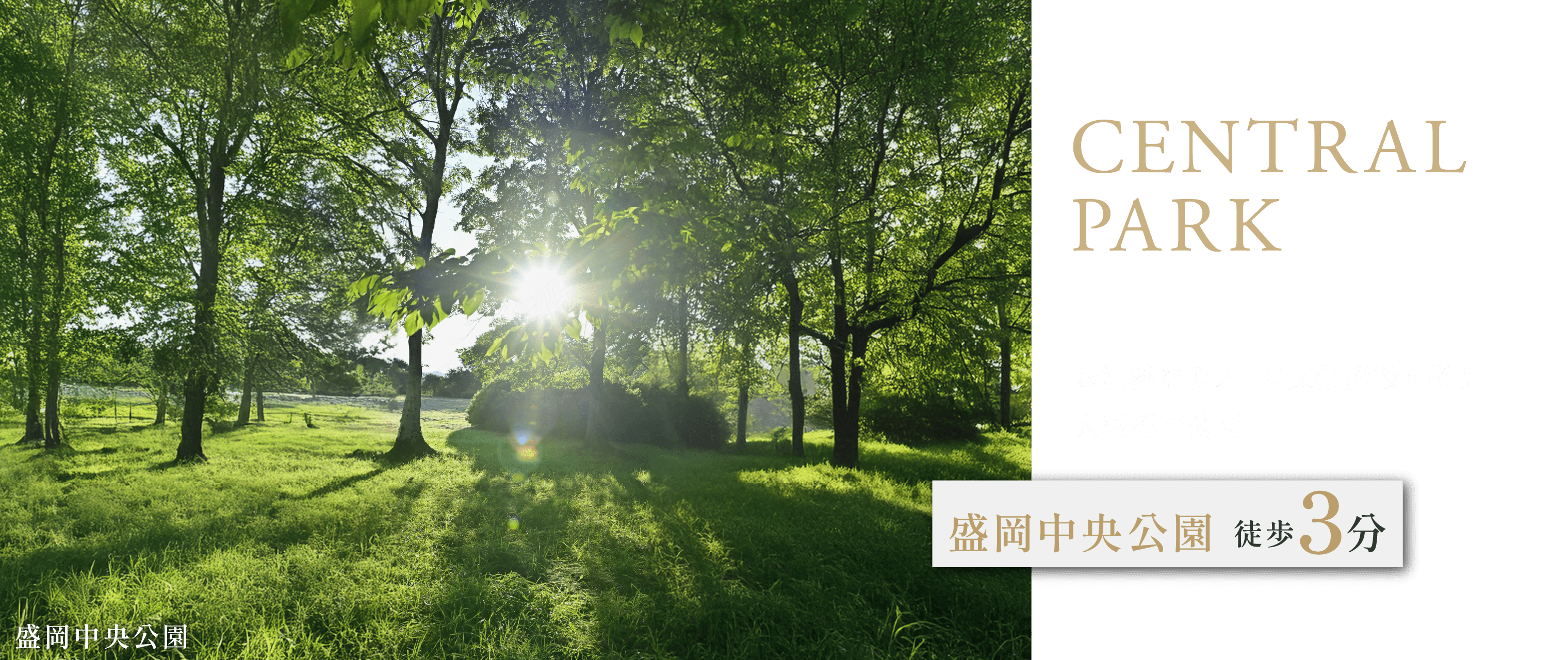 CENTRAL PARK
お洒落なカフェに文化施設も揃う大型都市公園
盛岡中央公園 徒歩3分