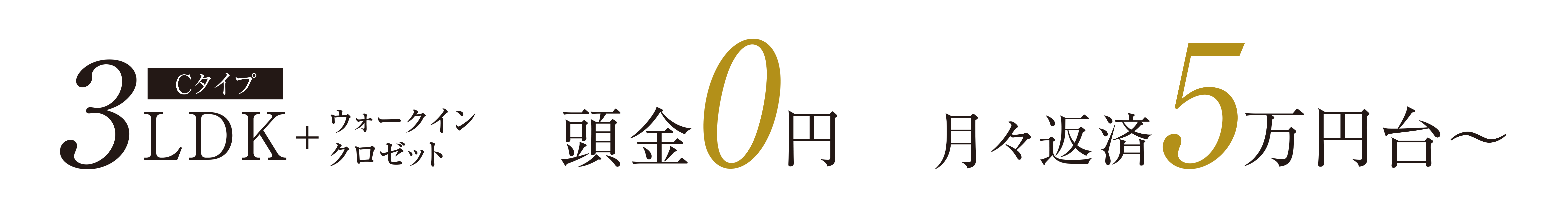 3LDK・預金0円・月々返済5万円台～