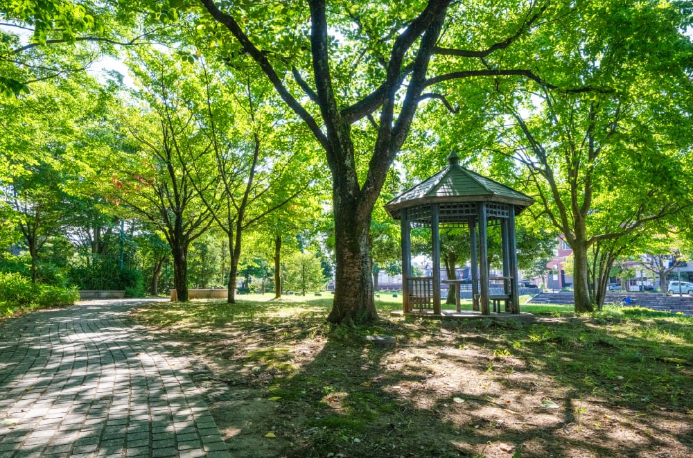 平和の森公園