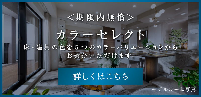 カラーセレクト