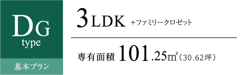 DGタイプ