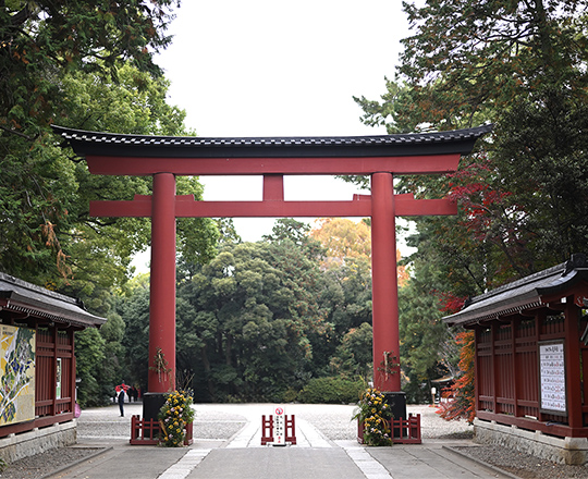武蔵一宮氷川神社 徒歩25分