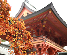 武蔵一宮氷川神社 徒歩25分
