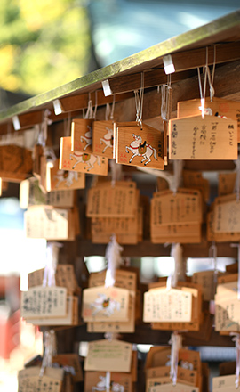 武蔵一宮氷川神社 徒歩25分