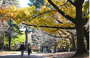 大宮公園 徒歩24分