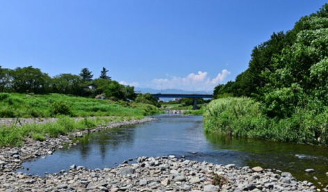 相模川