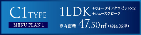 C1タイプ　MENU PLAN 1