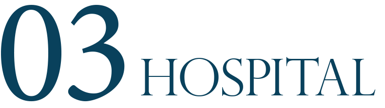 03 HOSPITAL
