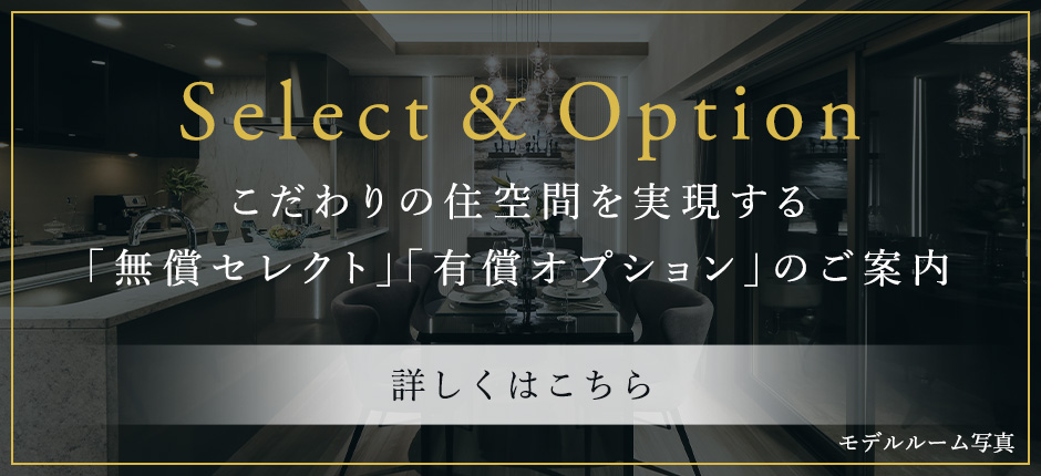 Select&Option