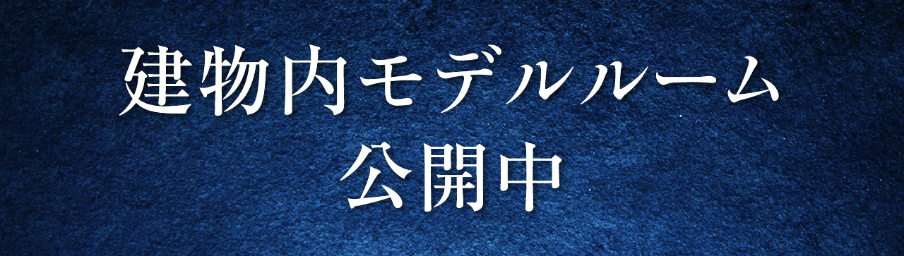 建物内モデルルーム公開中