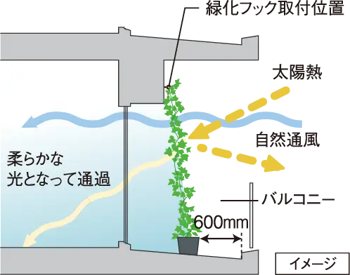 バルコニーの壁面に緑化対策