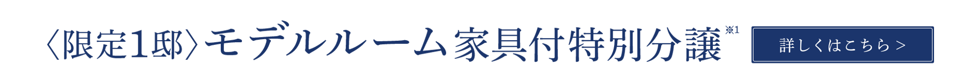 ＜限定1邸＞モデルルーム家具付き特別分譲