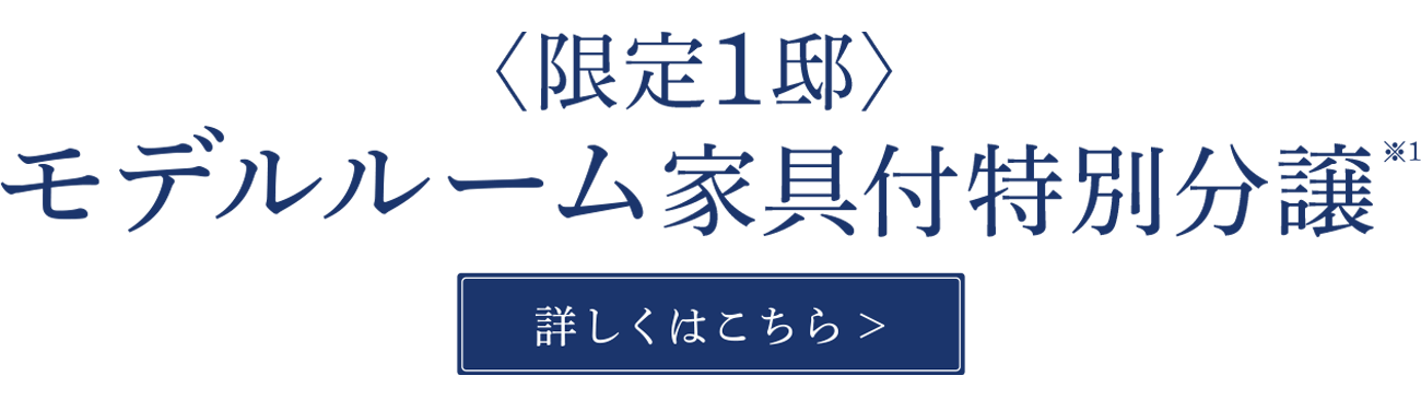 ＜限定1邸＞モデルルーム家具付き特別分譲