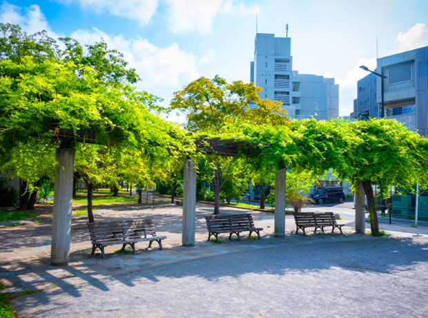 新宿公園