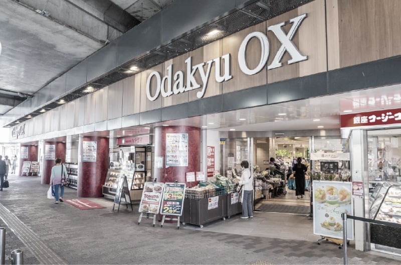 Odakyu OX