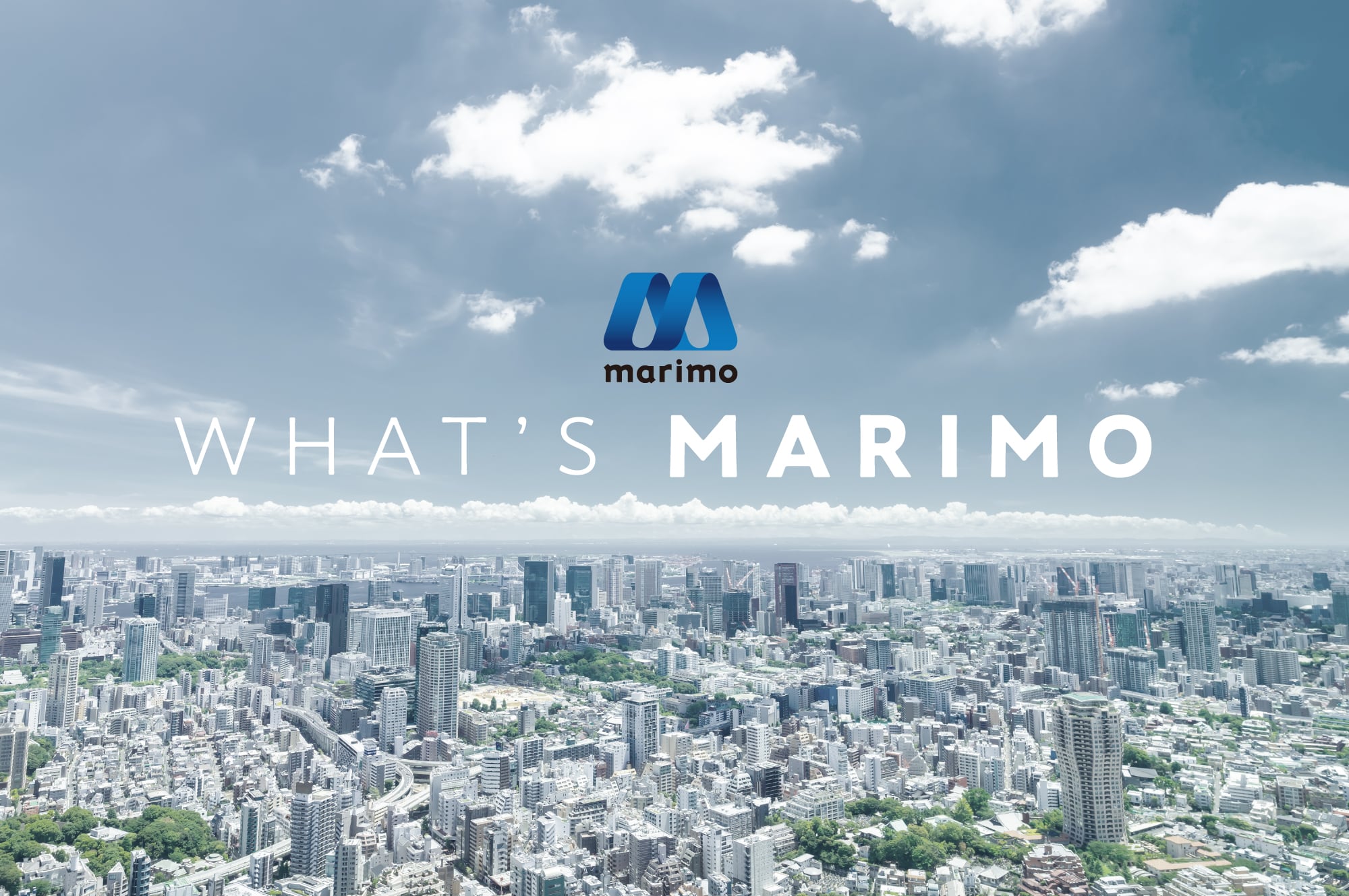 マリモ